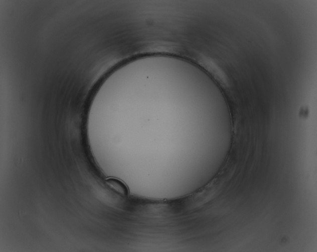 X0000091560108200708311423