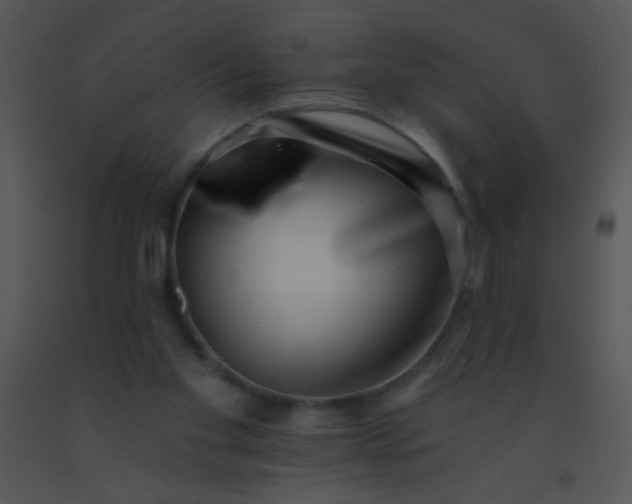 X0000091560109200708311423