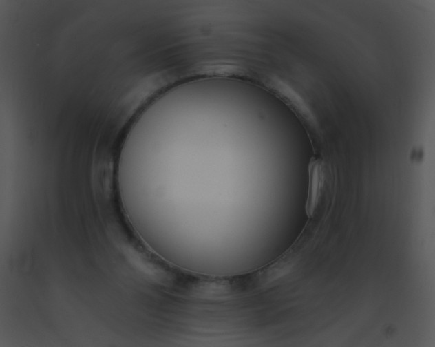 X0000091560110200708311423