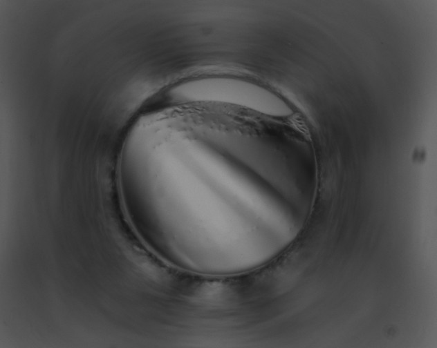 X0000091560111200708311423