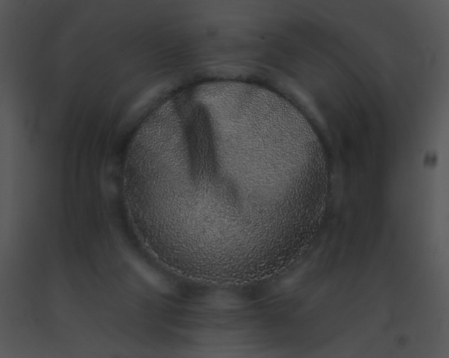 X0000091560114200708311423