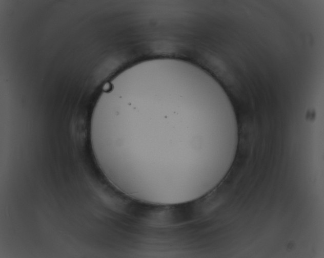 X0000091560116200708311423