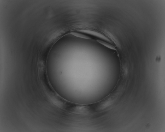 X0000091560117200708311423