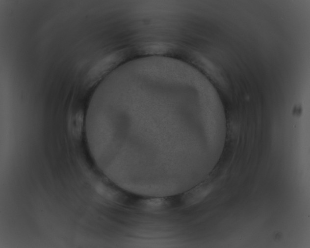 X0000091560118200708311423