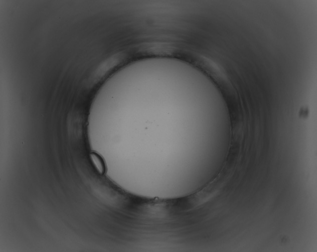 X0000091560120200708311423