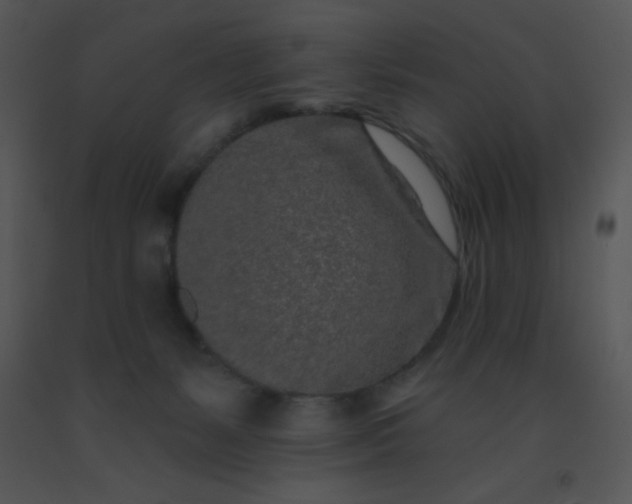 X0000091560127200708311423