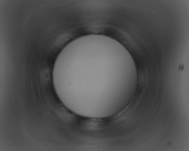 X0000091560128200708311423