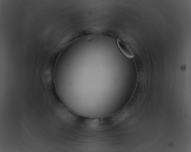 X0000091560131200708311423