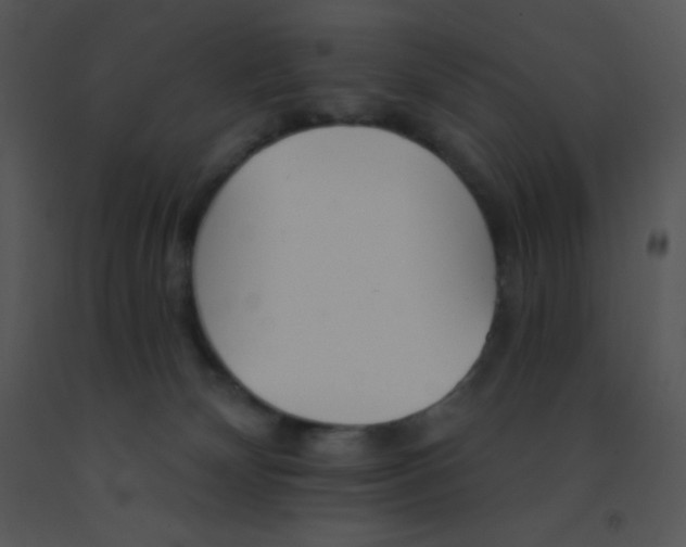 X0000091560132200708311423