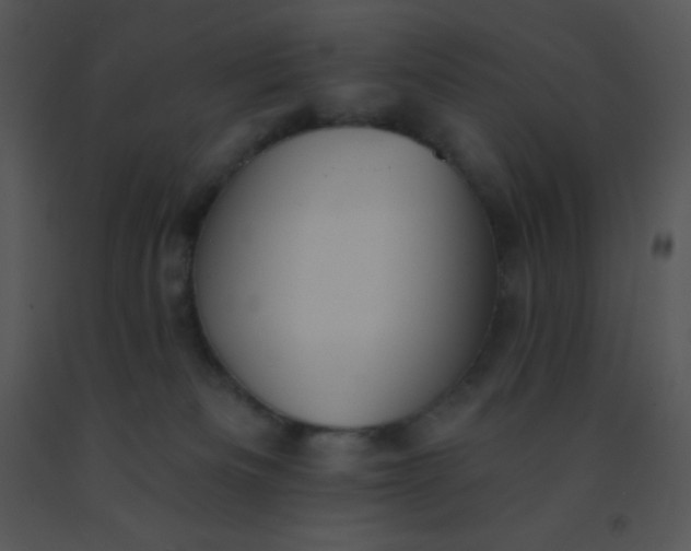 X0000091560133200708311423