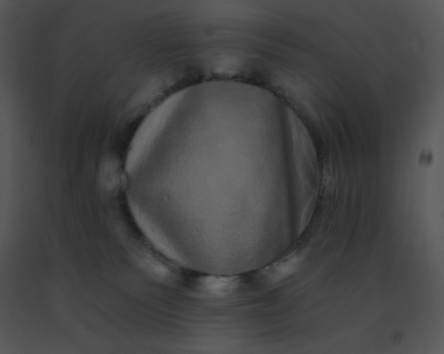 X0000091560135200708311423