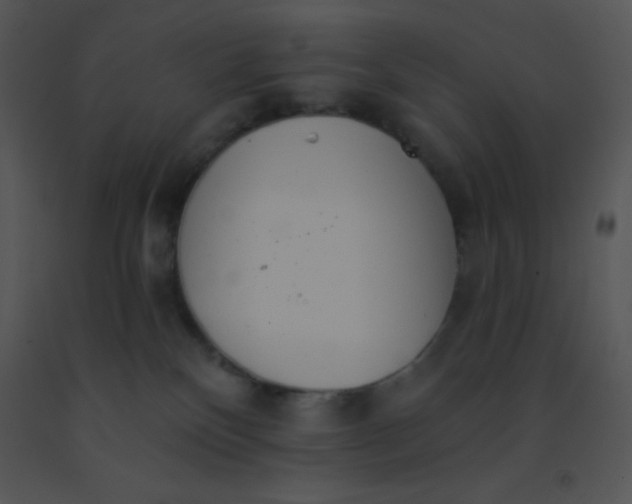 X0000091560136200708311423