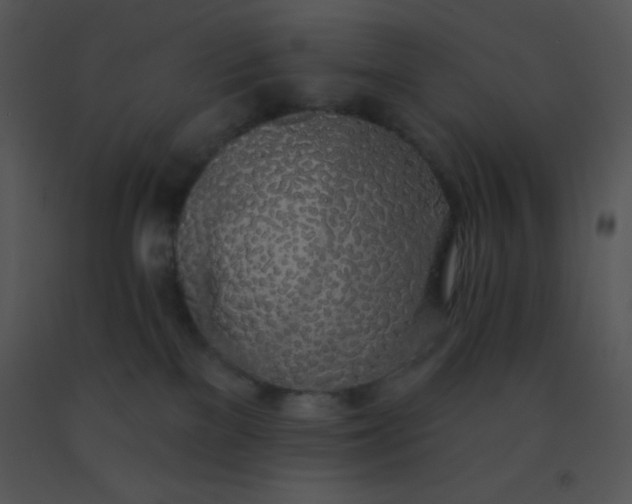 X0000091560137200708311423