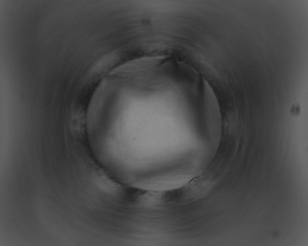 X0000091560138200708311423