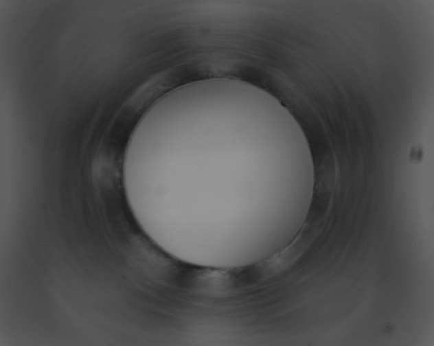 X0000091560140200708311423