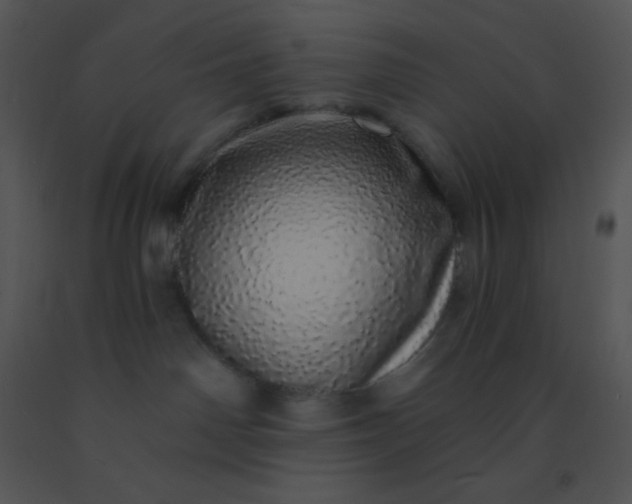 X0000091560142200708311423