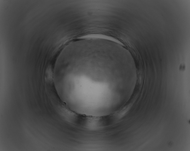 X0000091560143200708311423