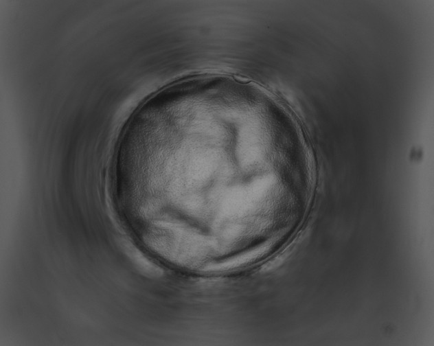 X0000091560145200708311422