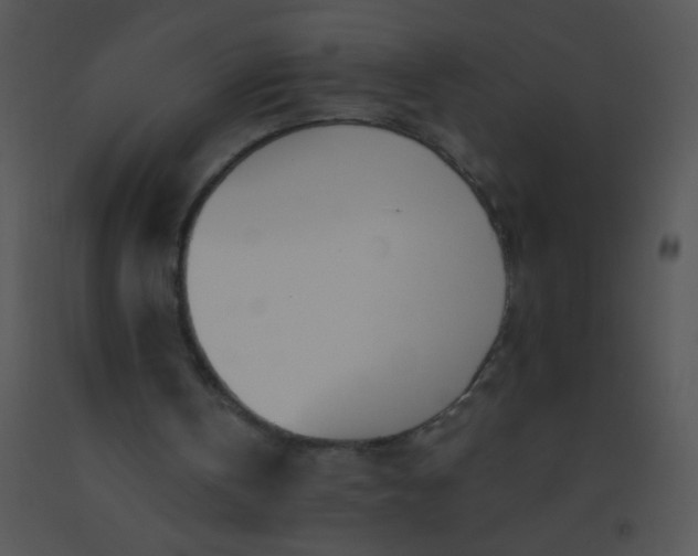 X0000091560146200708311422