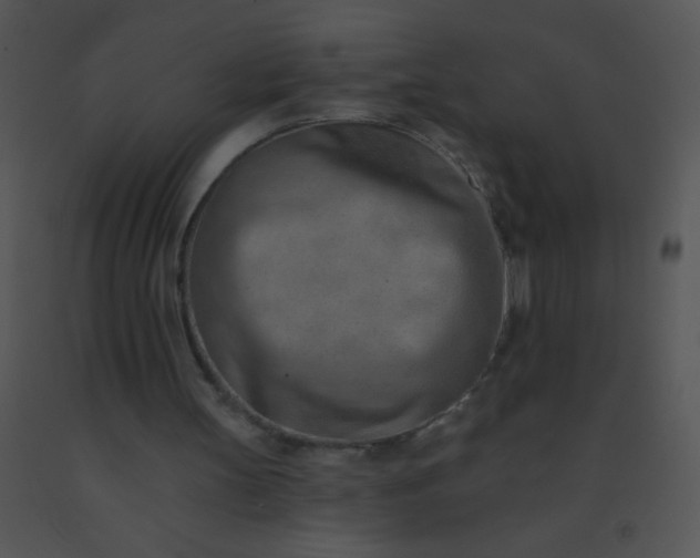 X0000091560147200708311422