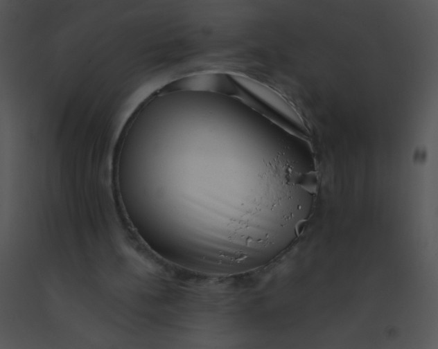 X0000091560148200708311422