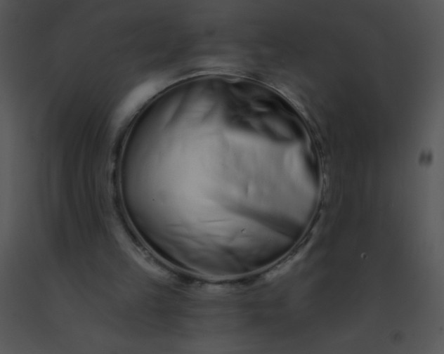 X0000091560149200708311422