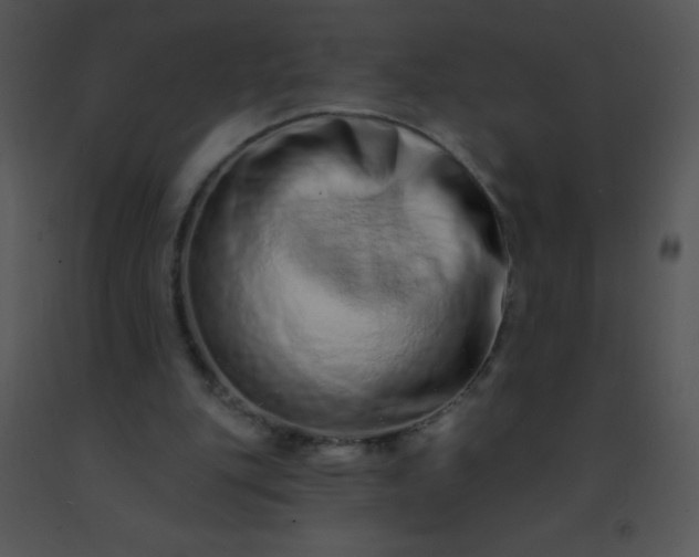 X0000091560151200708311422