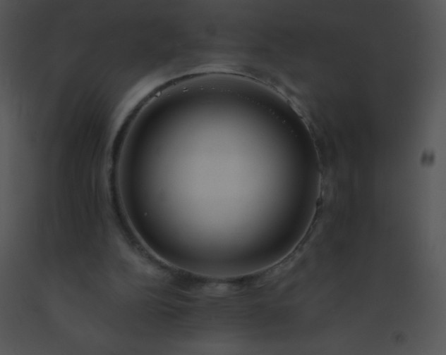 X0000091560152200708311422