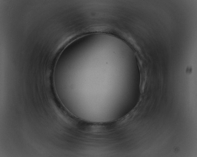 X0000091560154200708311422