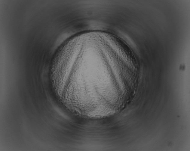 X0000091560155200708311422