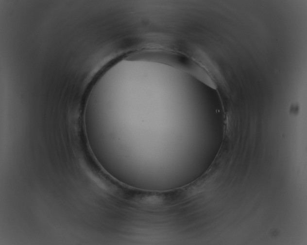 X0000091560156200708311422