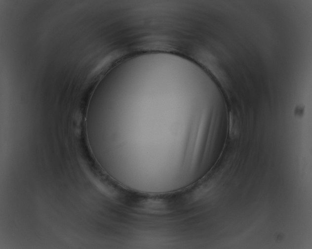 X0000091560157200708311422