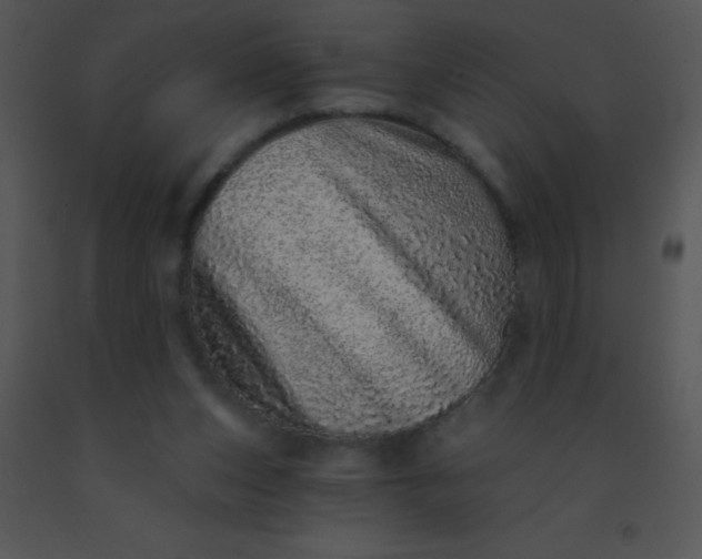 X0000091560159200708311422