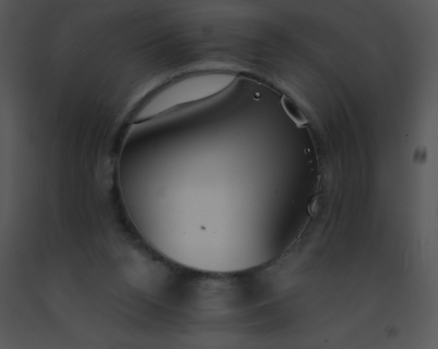 X0000091560160200708311422