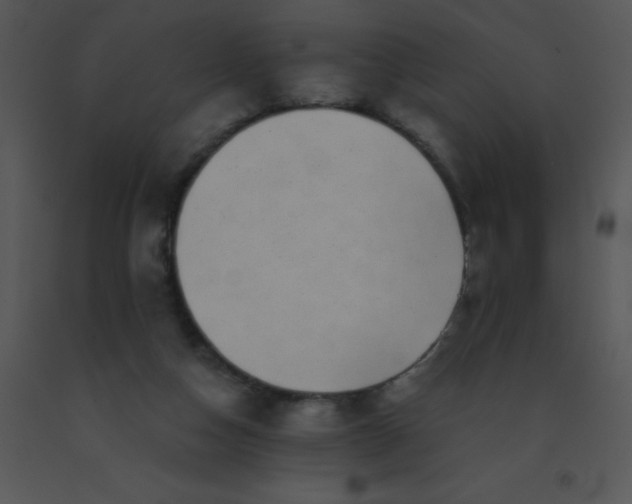 X0000091560162200708311422