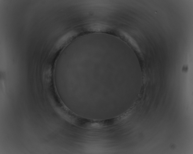 X0000091560163200708311422