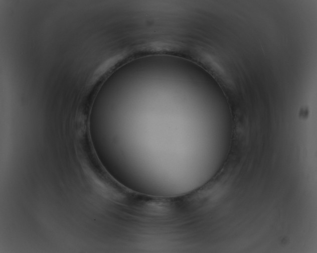 X0000091560164200708311422