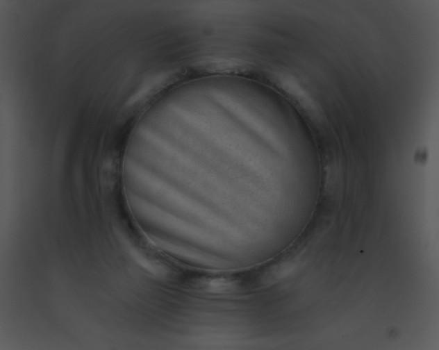 X0000091560165200708311422