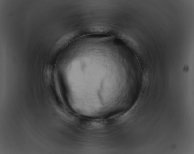 X0000091560166200708311422