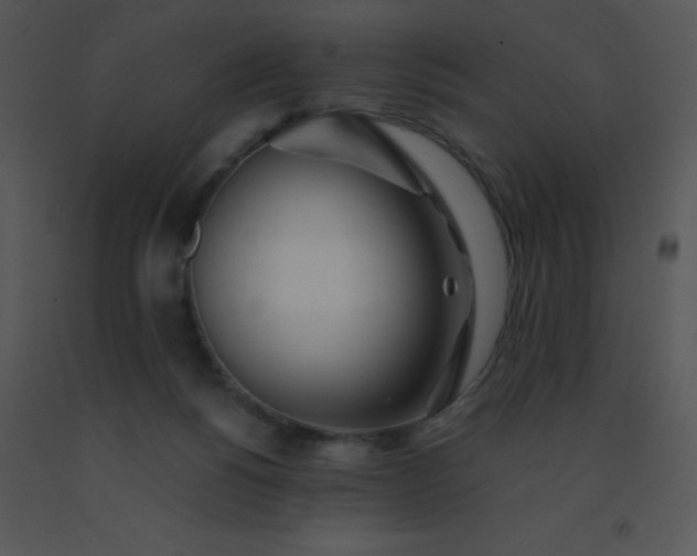 X0000091560168200708311422