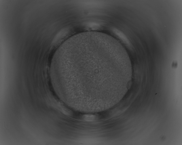 X0000091560169200708311422