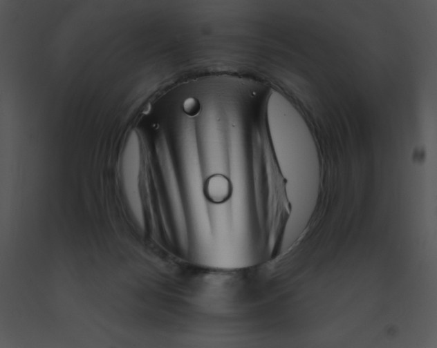 X0000091560172200708311422