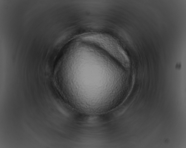 X0000091560173200708311422