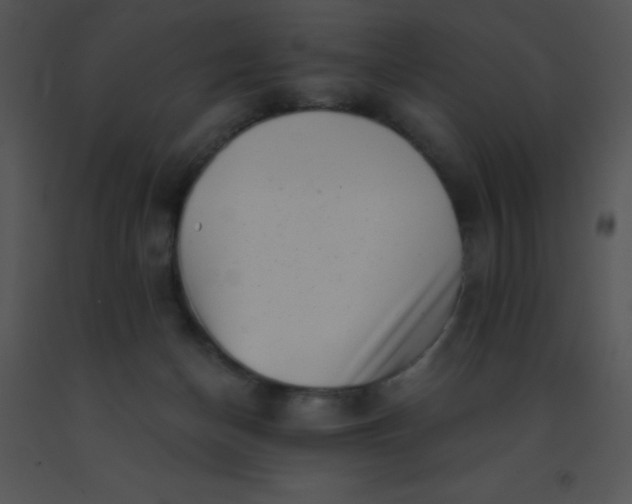 X0000091560174200708311422