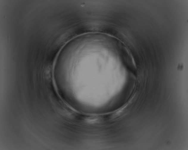 X0000091560175200708311422