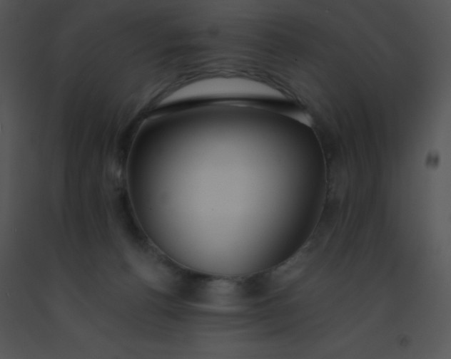 X0000091560176200708311422