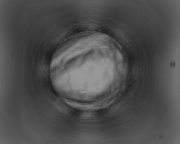 X0000091560177200708311422