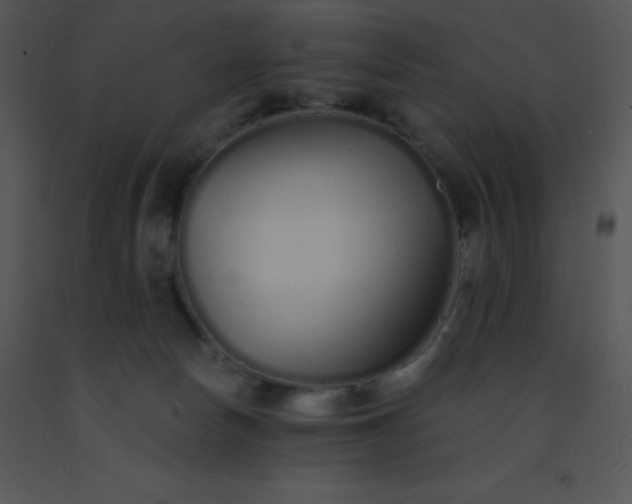 X0000091560178200708311422