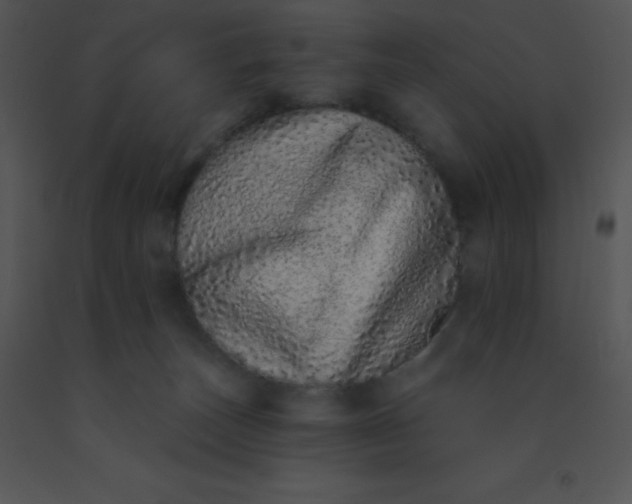 X0000091560179200708311422