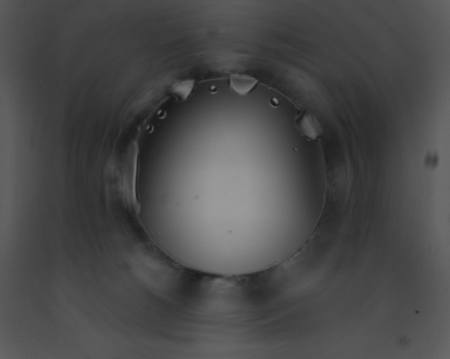 X0000091560180200708311422